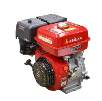 Двигатель бензиновый Asilak SL-177F-D25 SL-177F-D25