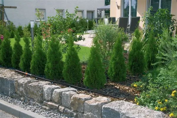 Автоматические системы полива