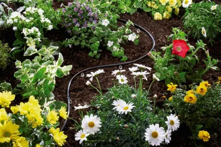 Автоматические системы полива