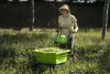 Садовая тележка самоходная Greenworks 40V G40GC 106 л (без АКБ и ЗУ) 7400007