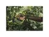 Секатор плоскостной металлический FISKARS Solid  P331 1057163