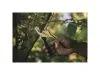 Секатор плоскостной металлический FISKARS Solid  P331 1057163