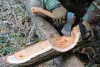 Топоры