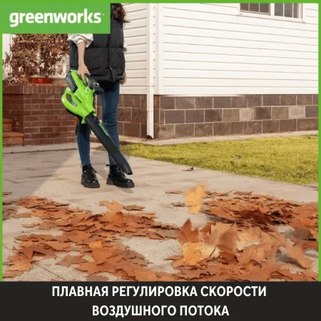 Садовые пылесосы, воздуходувки