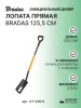 Садовые лопаты и вилы