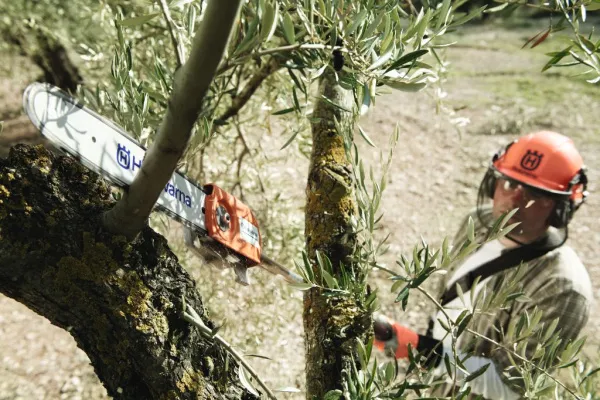 Высоторез Husqvarna 525PT5S