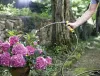 Шланг Karcher Performance Plus 1/2"- 20m 2.645-318.0