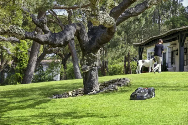 Газонокосилки-роботы