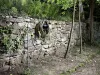Шланг Karcher Performance Plus 1/2"- 20m 2.645-318.0