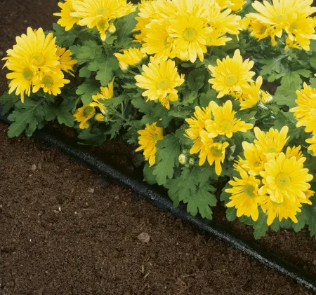 Автоматические системы полива