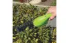 Кусторезы