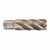 Кольцевая фреза HSSAC 22 x 50 - 1 шт 4932343297