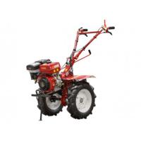 Мотоблок бензиновый Asilak SL-186  Культиваторы