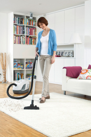 Пылесос Karcher DS 6 Premium Plus 1.195-252.0