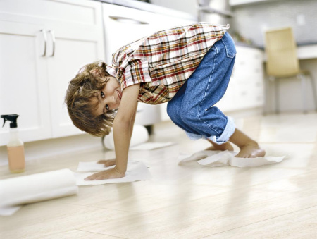 Karcher Комплект салфеток из махровой ткани 6.960-019.0