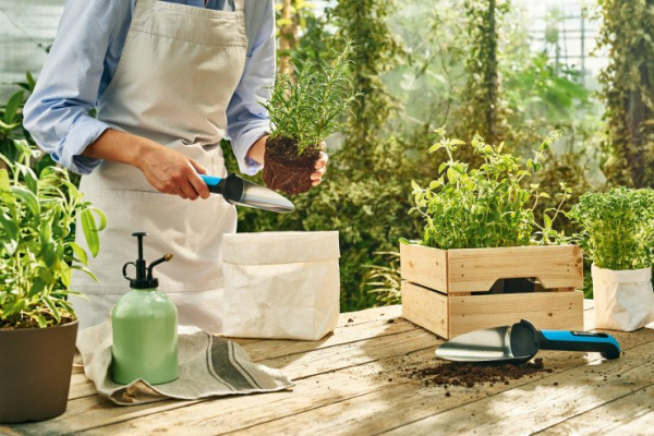 Совок садовый узкий Cellfast ERGO 42-002