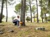 Цепные пилы
