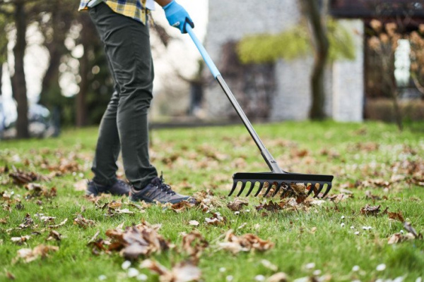 Грабли Cellfast IDEAL PRO 41,2 см 40-211