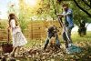 Грабли Gardena веерные регулируемые из пластика (снят с производства) 03099-20