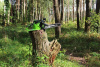 Цепная пила аккумуляторная Greenworks 40V GD40CS18K2 (1хАКБ 2Ач и ЗУ) 40см 2005807UA Цепные пилы