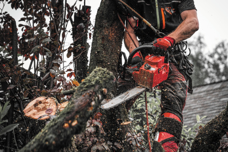 Цепные пилы