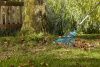 Грабли Gardena веерные регулируемые из пластика (снят с производства) 03099-20