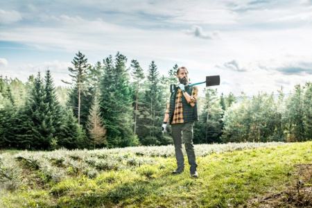 Садовые лопаты и вилы