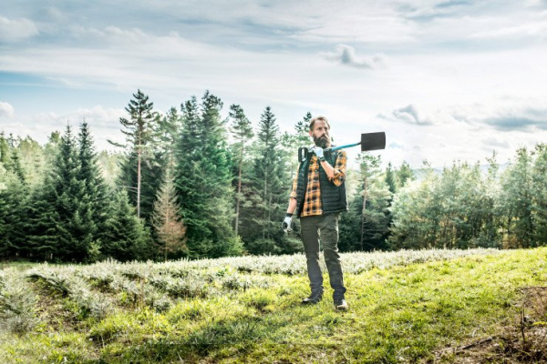 Садовые лопаты и вилы