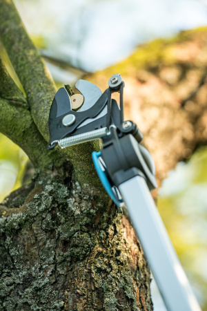 Сучкорезы и высоторезы