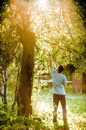 Сучкорезы и высоторезы