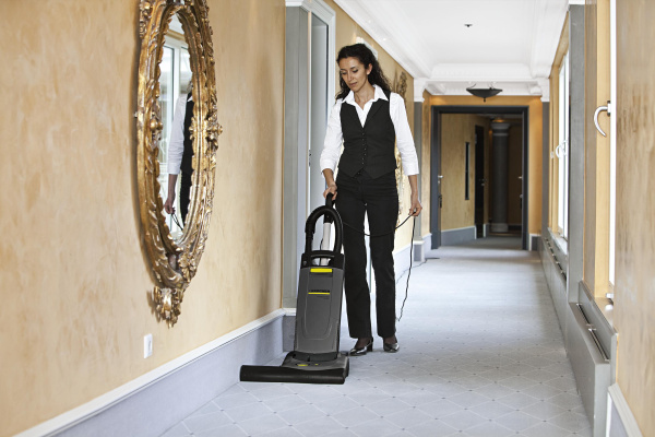 Щеточный пылесос Karcher CV 48/2