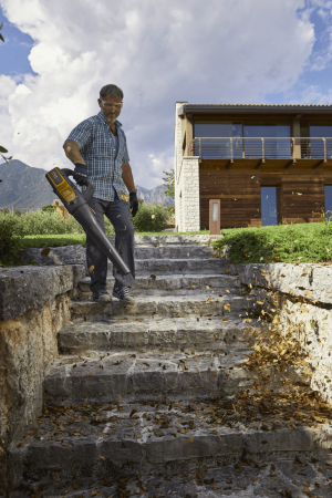 Садовые пылесосы, воздуходувки