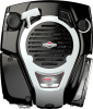 Двигатель бензиновый Briggs&Stratton 750EX (снят с производства) 1006025025H5YY1001