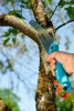 Пила комбисистемы садовая Gardena 300 PP (снят с производства) 08737-20