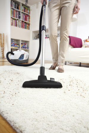 Пылесос с аквафильтром Karcher DS 6000 Mediclean (1.195-202.0) 1.195-202.0