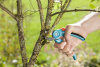 Секатор с наковаленкой Gardena A/S 08855-20