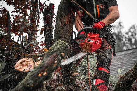 Цепные пилы