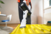 Аккумуляторный пылесос Karcher KVA 2 1.198-730.0 Аккумуляторный пылесос Karcher KVA 2 1.198-730.0