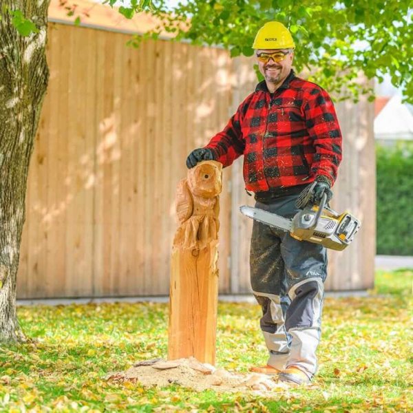 Цепные пилы