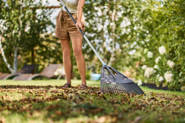 Грабли веерные Cellfast ERGO 65 см 40-115