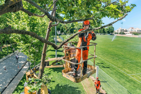 Цепные пилы