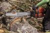 Шина 28'' 3/8 1.5 92DL 11T 6кл HLM Husqvarna X-Tough Solid RSN 596 69 11-92