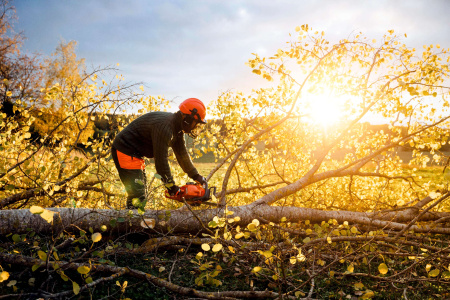 Цепные пилы