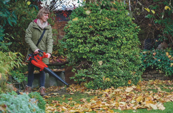 Садовые пылесосы, воздуходувки