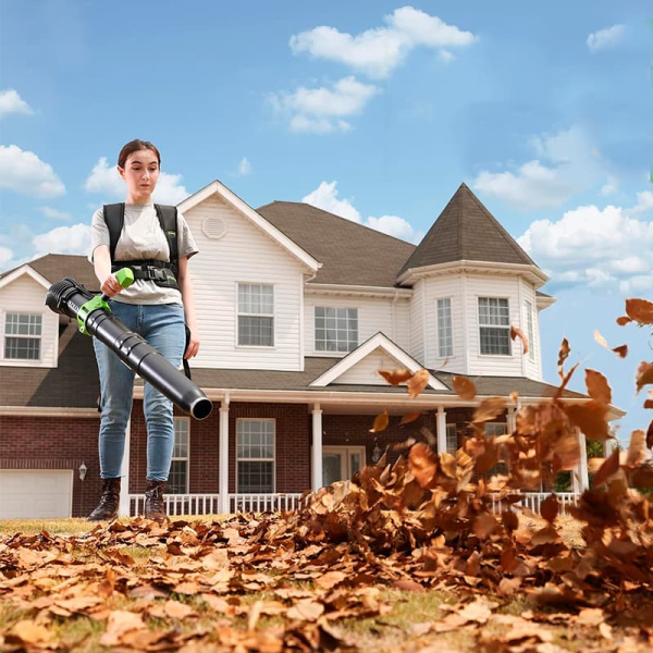 Садовые пылесосы, воздуходувки