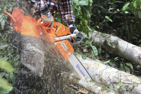 Цепные пилы