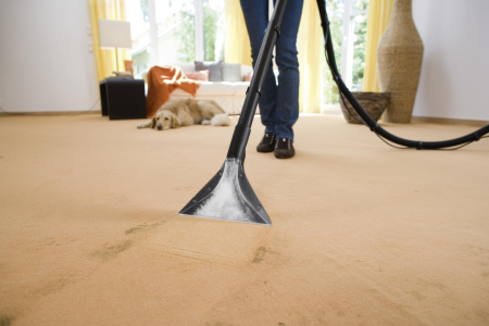 Пылесос моющий Karcher SE 4002 1.081-140.0