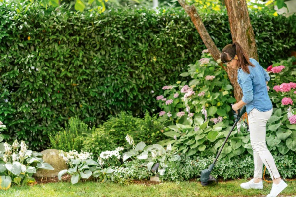 Триммер аккумуляторный Bosch EasyGrassCut 18-260 (06008C1C02) 06008C1C02