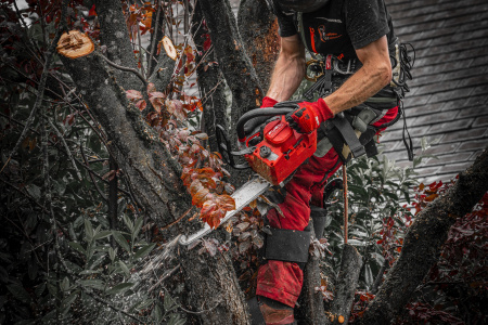 Цепные пилы