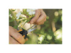 Ножницы для цветов SP13 FISKARS 1051600 Ножницы для цветов SP13 FISKARS 1051600